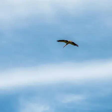 Truels - 30km From The Sea By Interhome * Toftlund