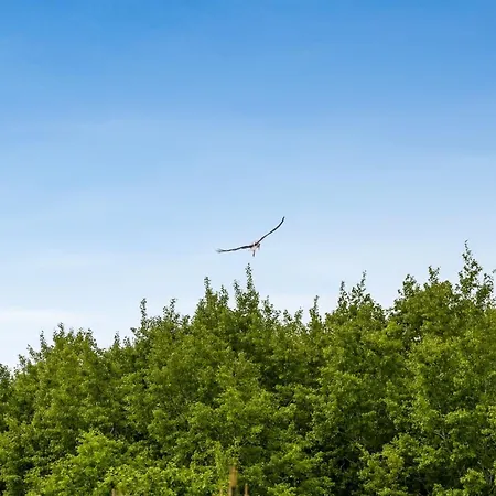 Сasa de vacaciones Truels - 30km From The Sea By Interhome *